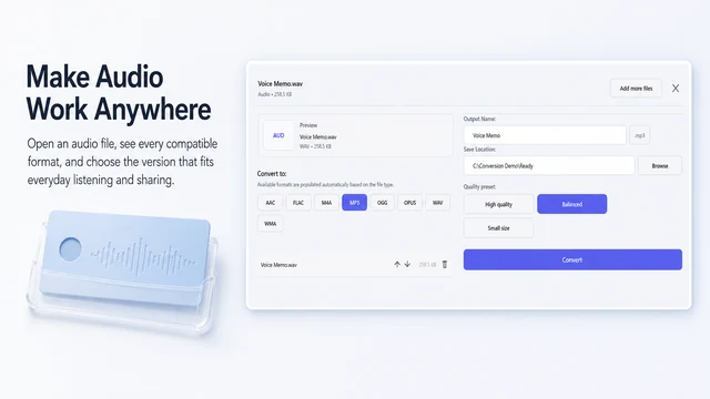 Audio conversion settings in Just Converter